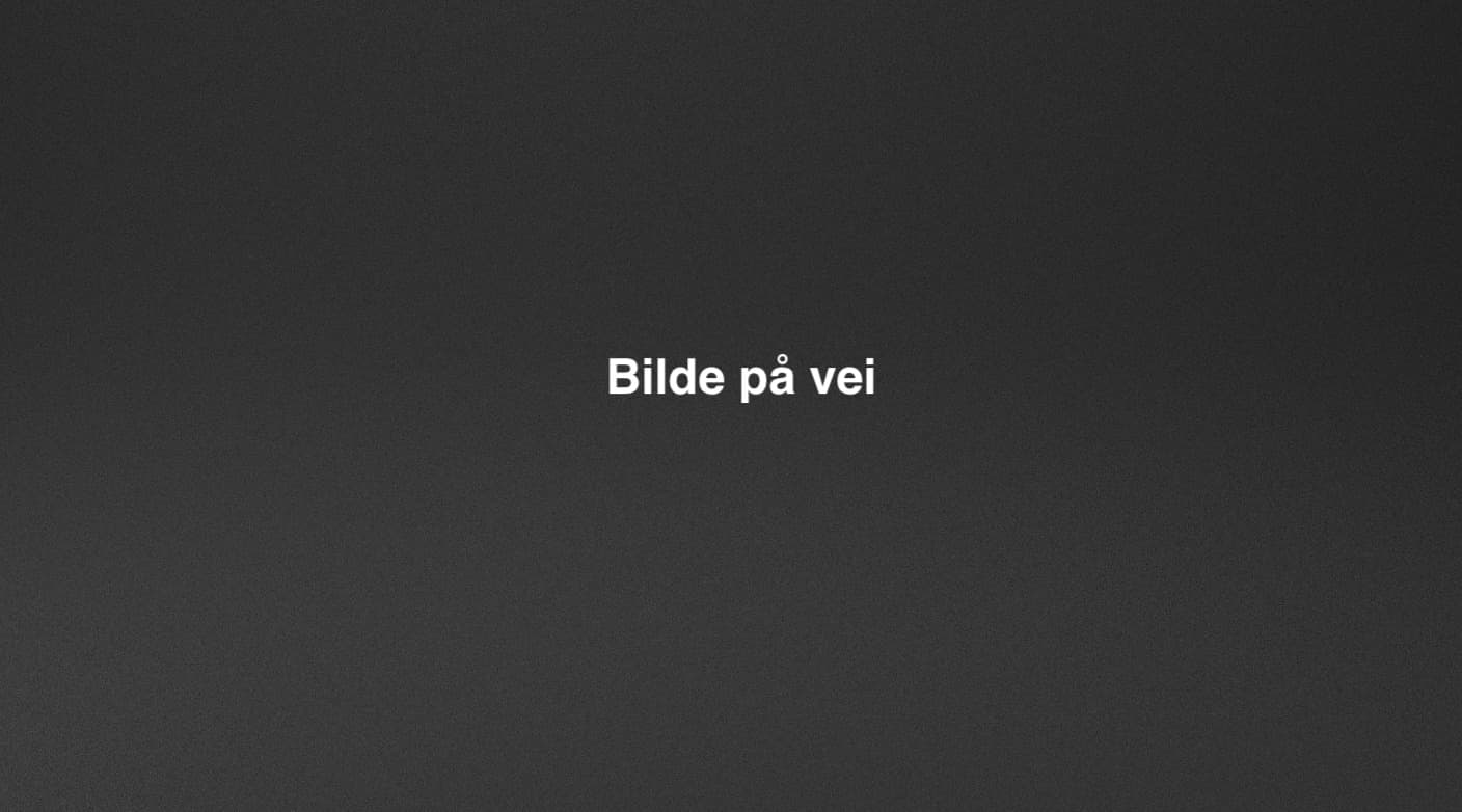 Rammetelt på 15m bredde