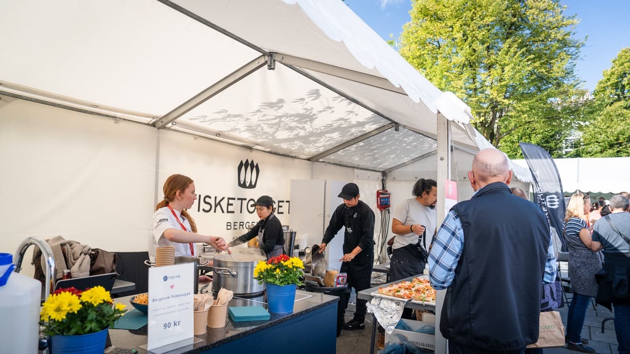 Rammetelt på 3m bredde